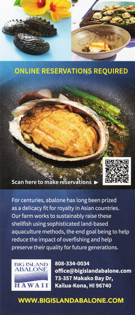 Submarne Adventure Brochure - Kona