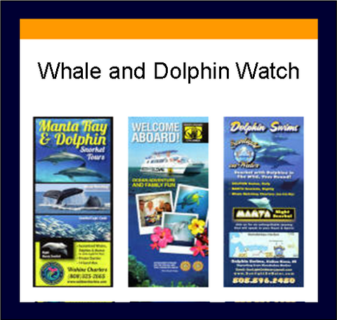 Big Island Botanical Gardens